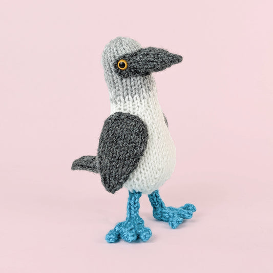 Blue Footed Booby Knitting Pattern