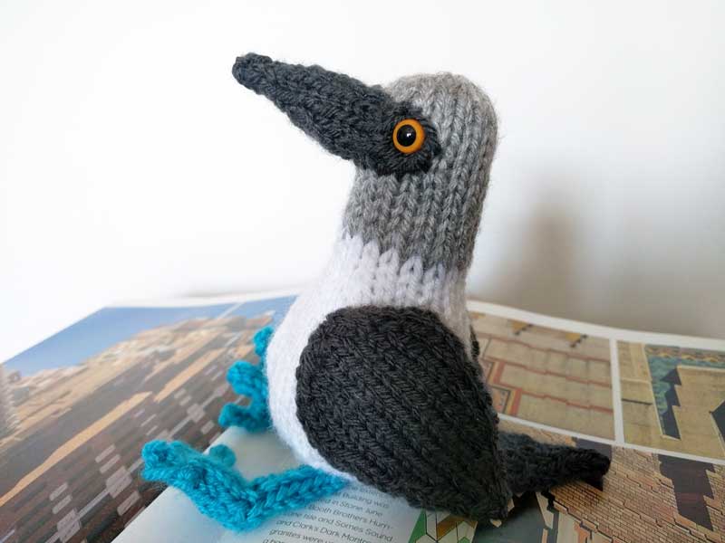 Blue Footed Booby Knitting Pattern