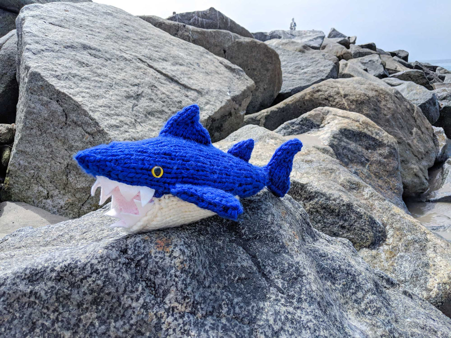 Clancy, Jr. the Shark Knitting Pattern