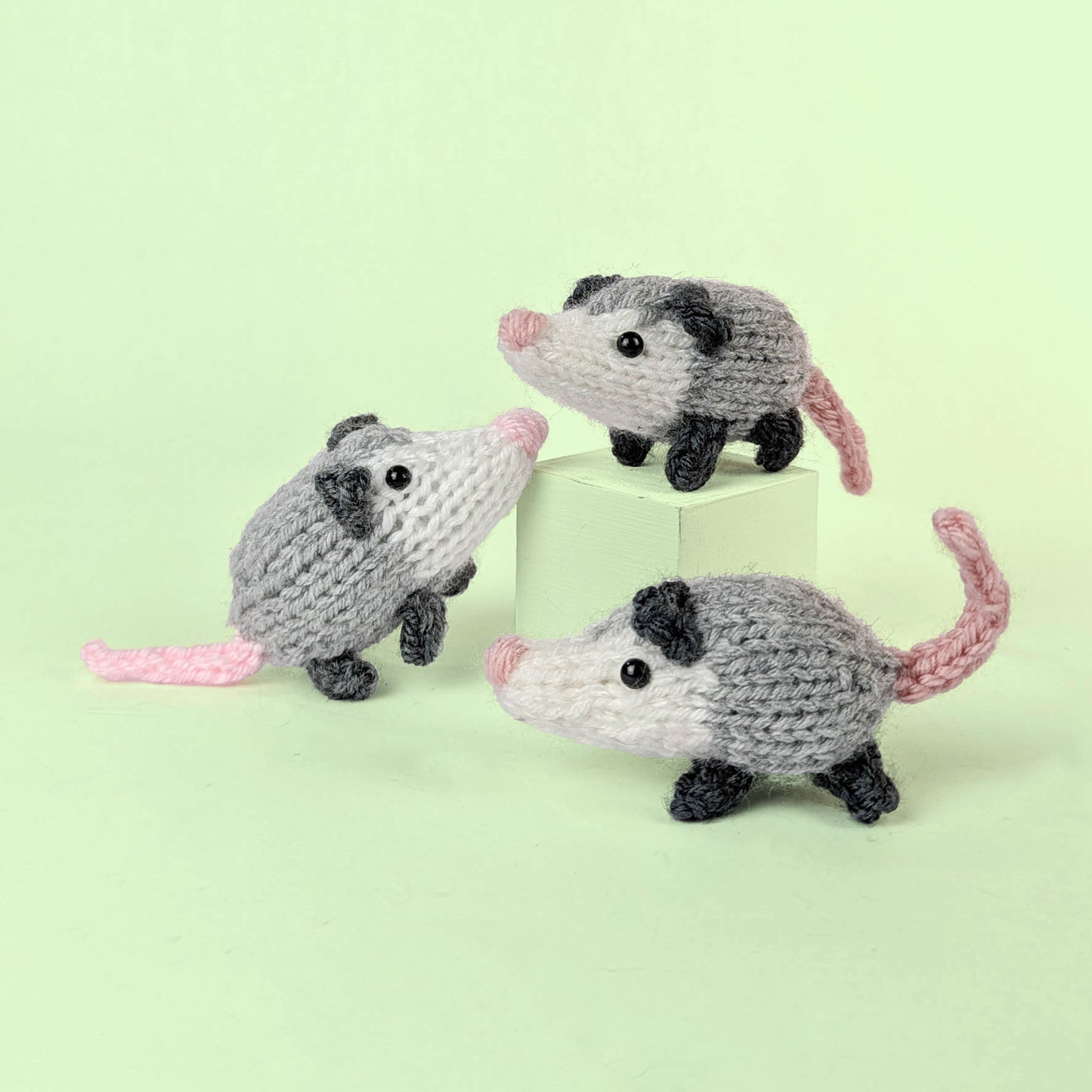 Baby Possum Trio Knitting Kit