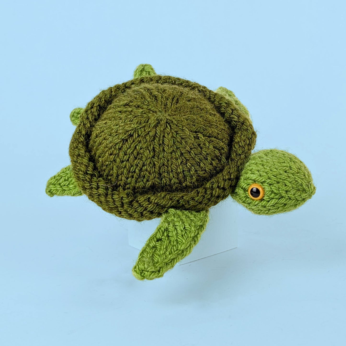 Sea Turtle Surprise Knitting Kit